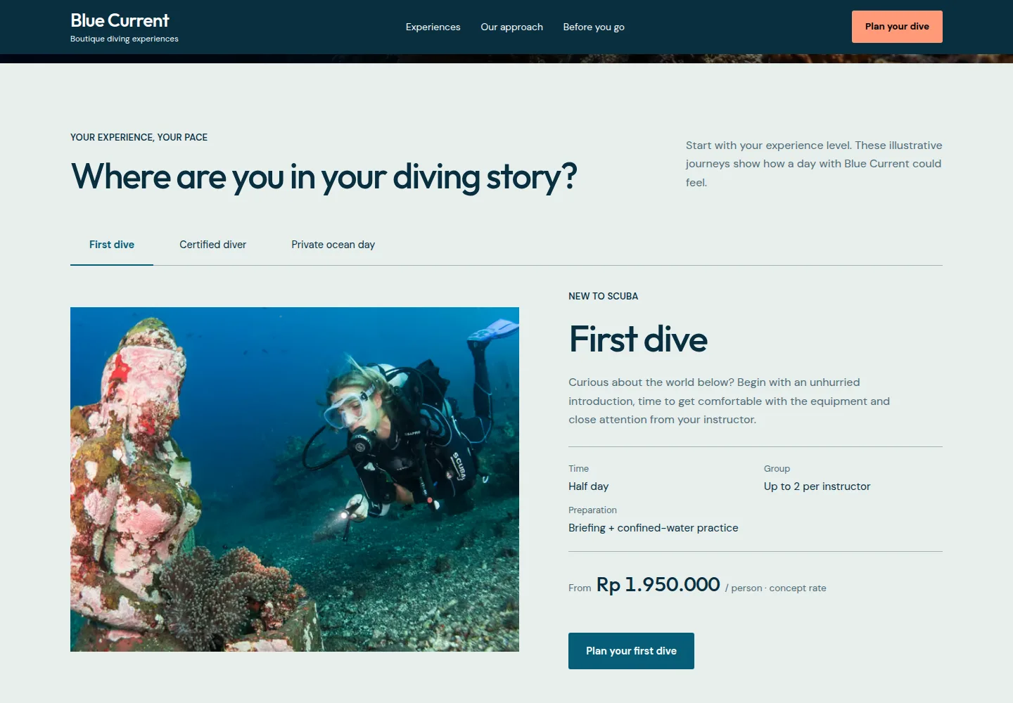 Blue Current Bali’s interactive dive-experience selector with clear choices and underwater photography